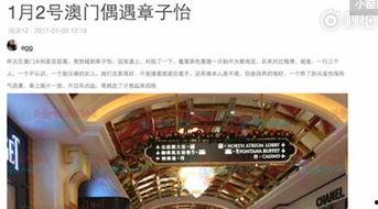 澳门最新爆料快报,揭秘神秘事件背后的真相