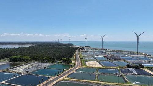 湛江徐闻最新爆料,揭秘神秘事件背后的真相