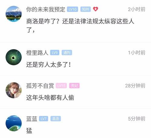 商洛网友最新爆料,揭秘某事件背后真相！