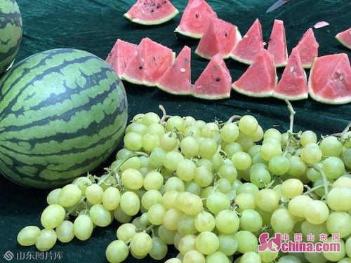 山东最新吃瓜爆料,揭秘神秘事件背后的真相