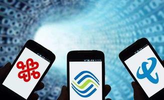 最新数码爆料电话号码,神秘电话号码背后的科技秘密